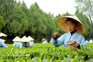 Phóng viên: Tập trung vào thị trường trung vệ, Man Utd quan tâm đến Scalvini&Dragusin